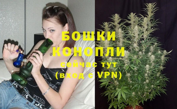 ешки Елизово