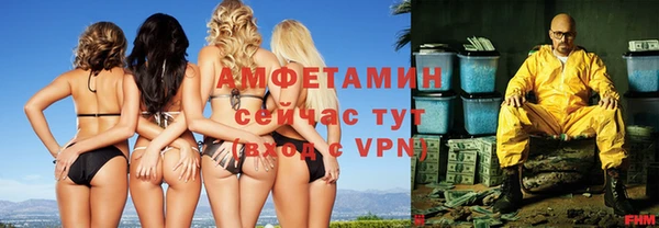 сатива Дмитровск